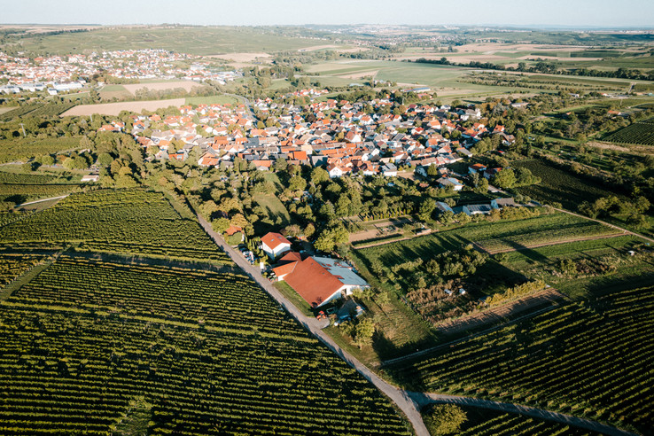 Weingut  Finkenauer