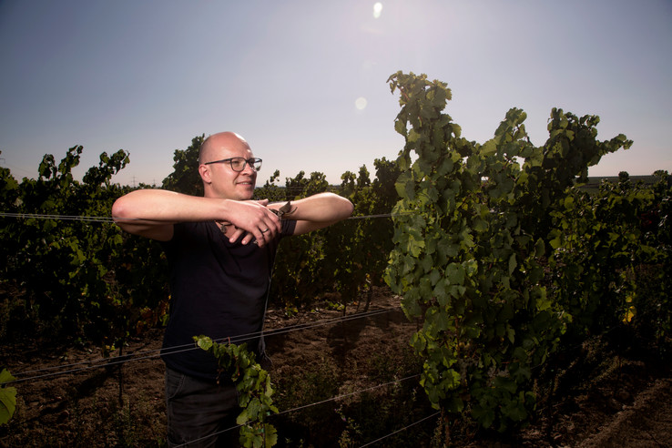 Weingut Mario Zelt