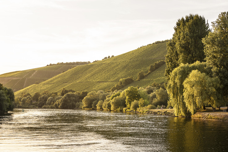 Weingut Schmitts Kinder