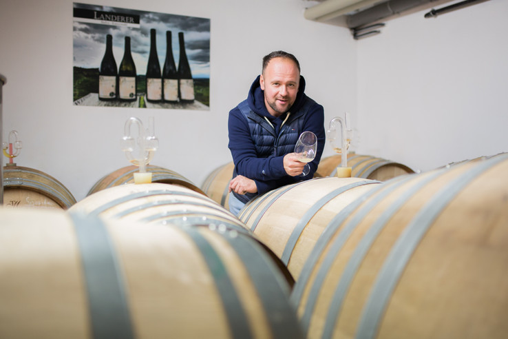 Weingut Daniel Landerer