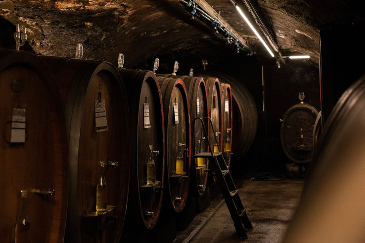 Weingut Schätzel
