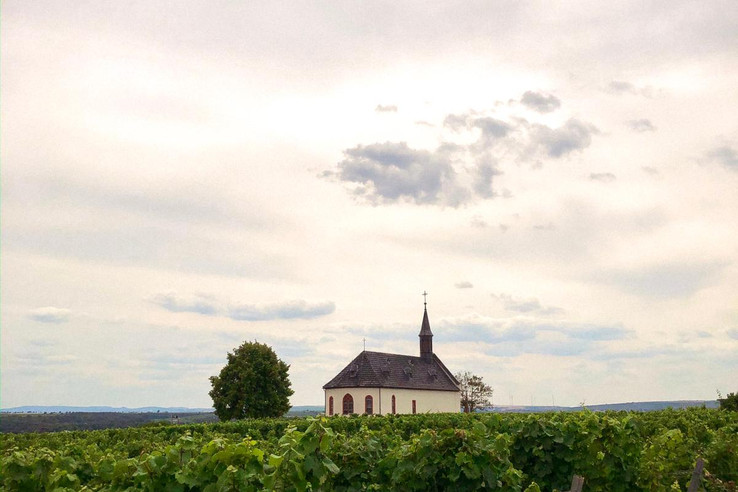 Weingut Boxheimerhof