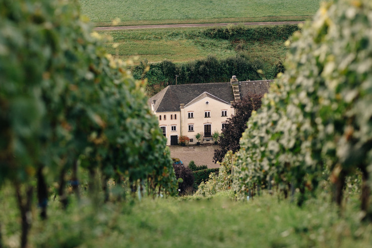 Weingut Karthäuserhof