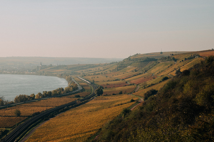 Weingut Gunderloch