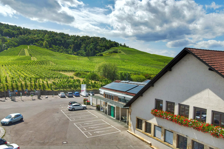 Fellbacher Weingärtner eG