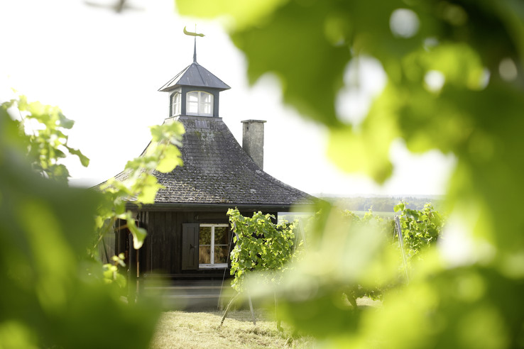Weingut Stigler