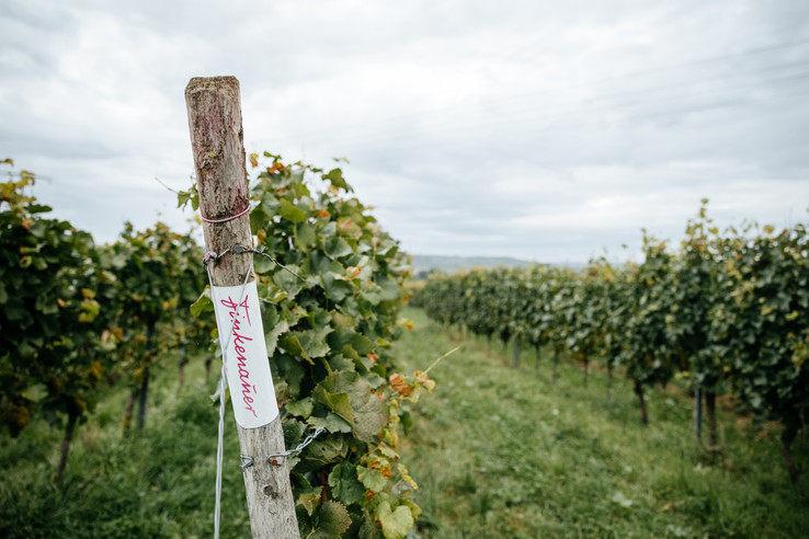 Weingut  Finkenauer