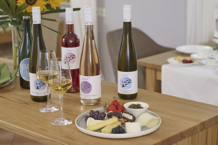 BioWeingut Gänz