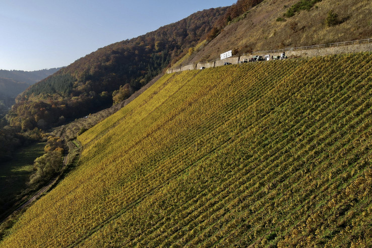 Weingut Sorentberg