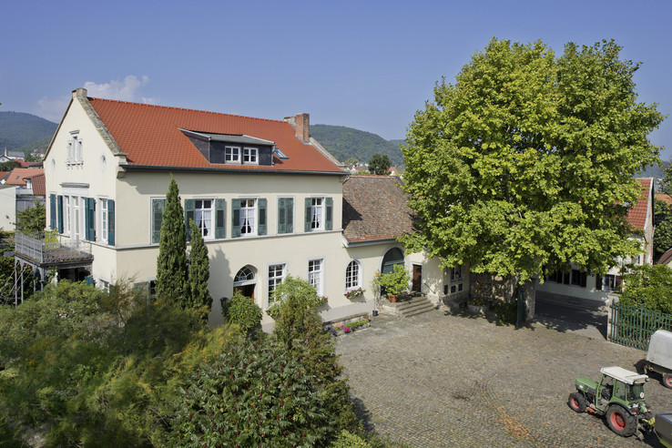 Weingut Peter Stolleis