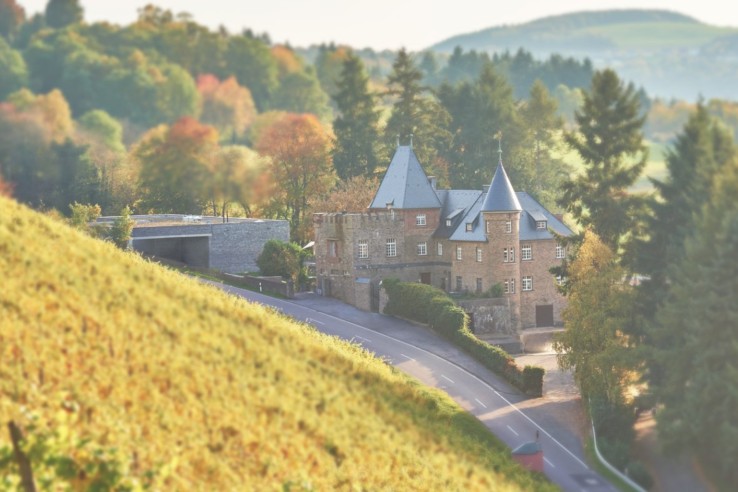 Weingut Reichsgraf von Kesselstatt