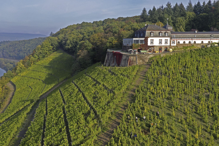 Weingut Schloss Saarstein
