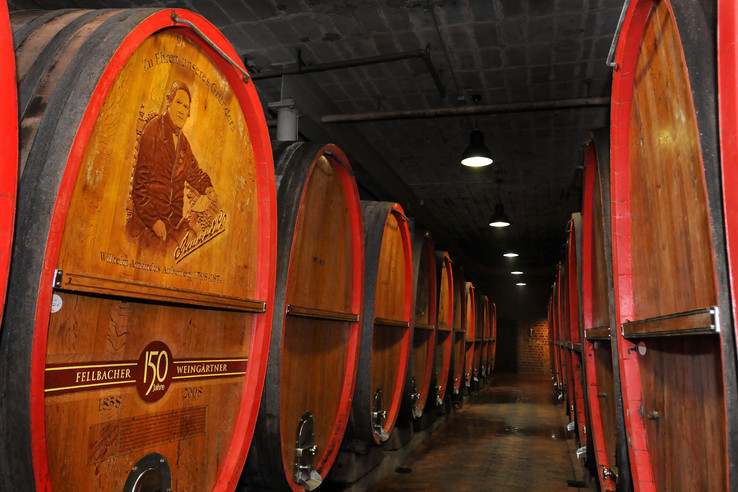 Fellbacher Weingärtner eG