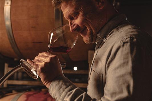 SANDER ökologische Weine