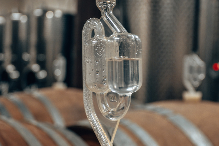 Weingut Mario Zelt