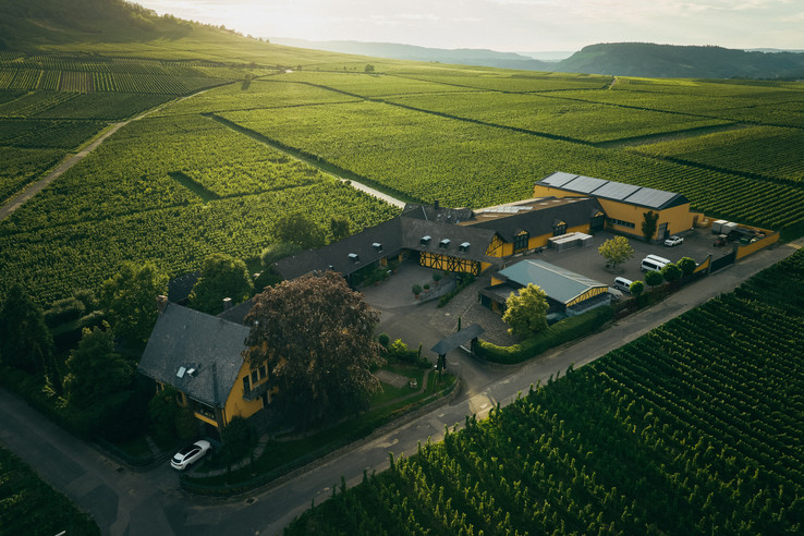 Weingut Nik Weis - St. Urbans-Hof