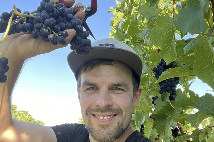 Weingut Hemberger
