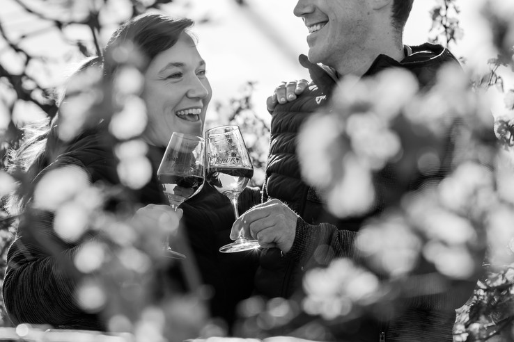 Weingut Schur