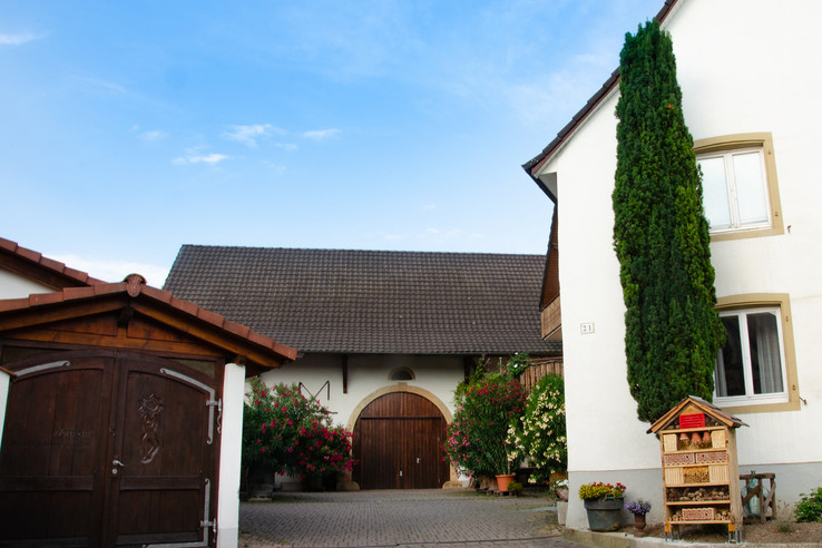 Weingut Sommerhalter