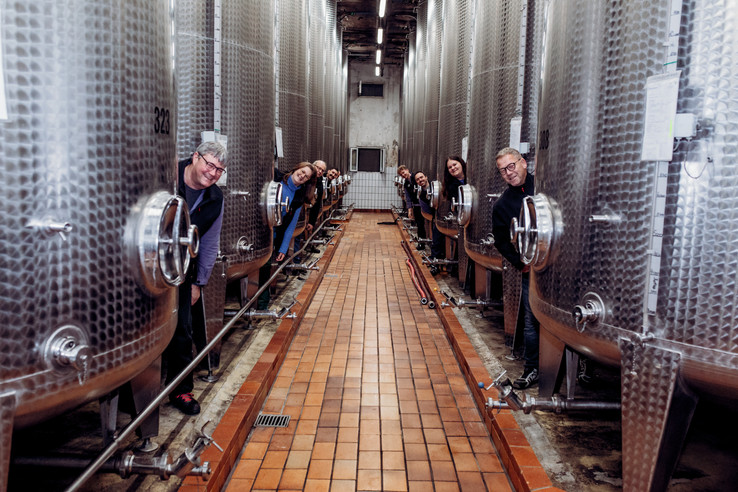Winzergenossenschaft Königschaffhausen-Kiechlinsbergen