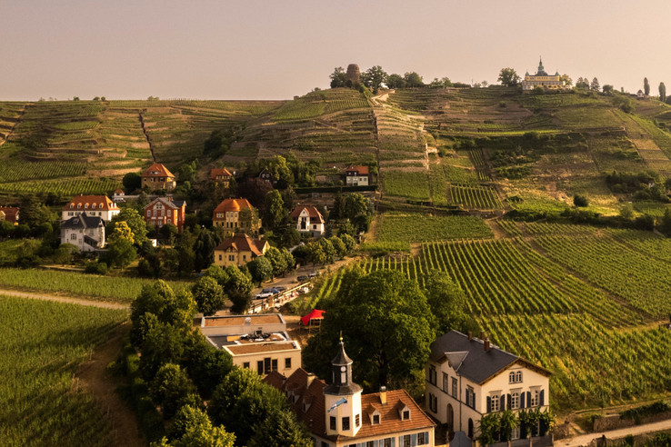 Weingut Karl Friedrich Aust