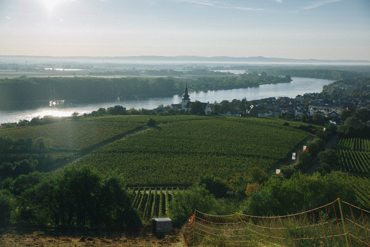 Weingut Schätzel
