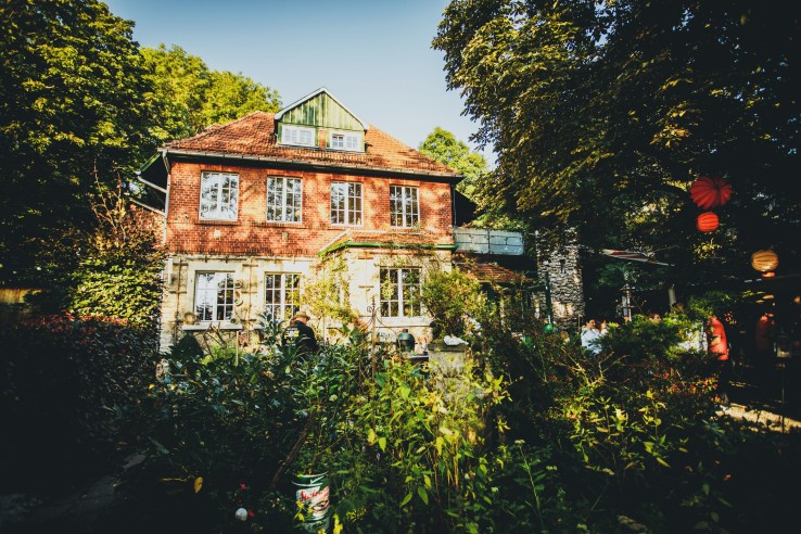 Bachstelze