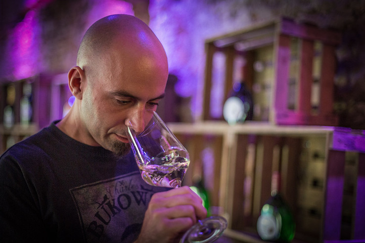 Patrizierhof - Gasthof Hotel Weingut - Familie Grebner