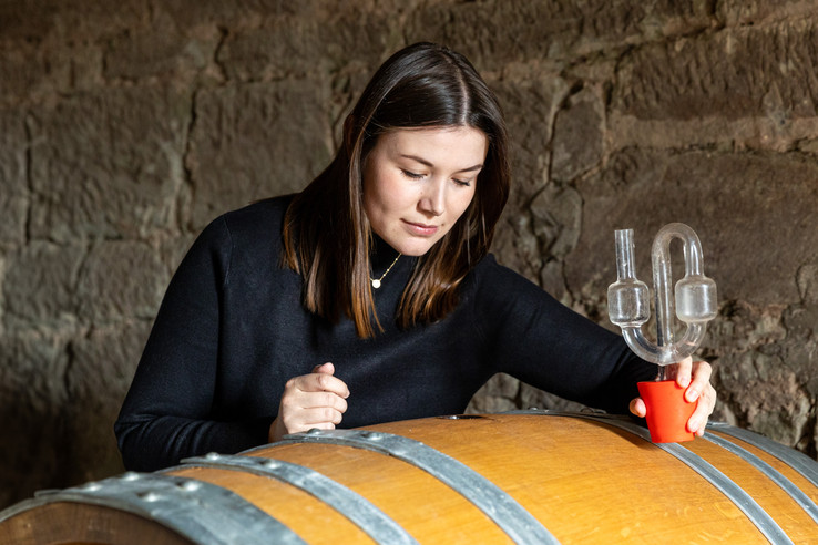 Weinbau Carolin Meyer