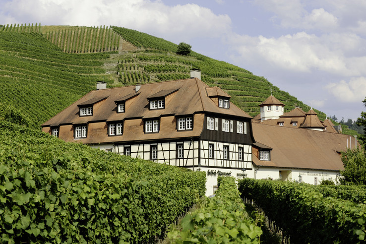Schloss Neuweier