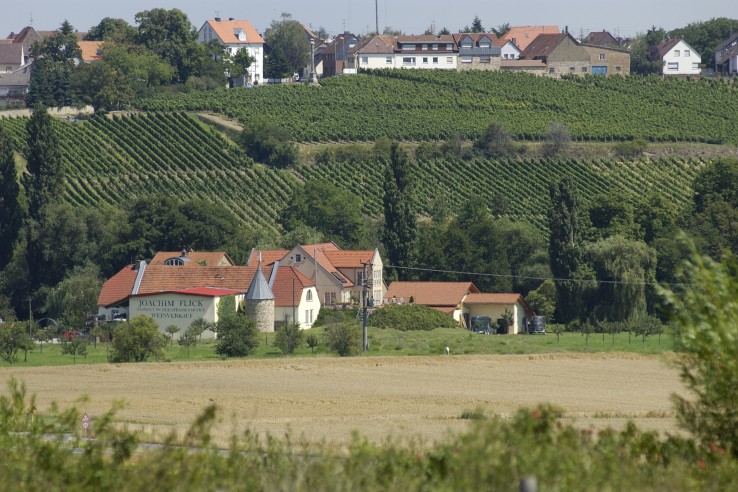 Weingut Joachim Flick