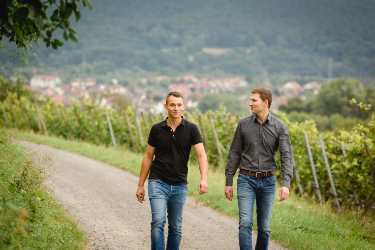 Weingut Giegerich