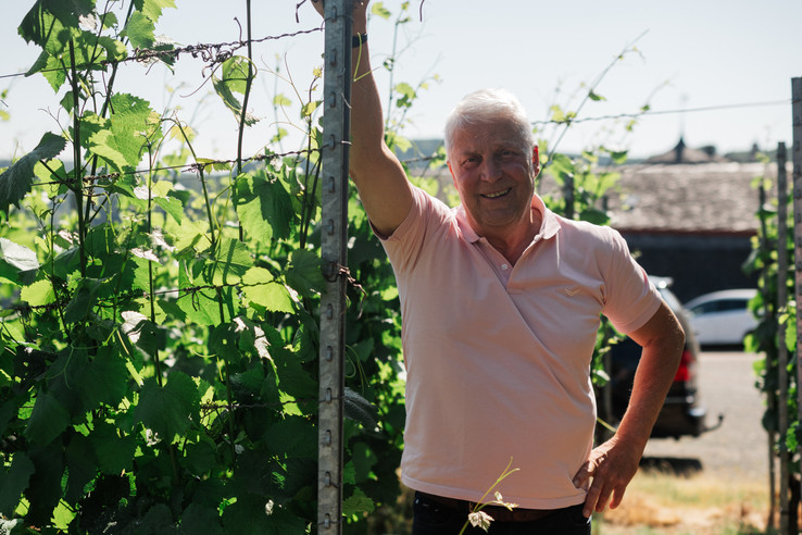 Weingut Schloss Saarstein