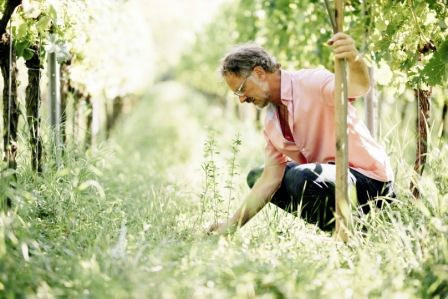 Weingut Thomas Harteneck