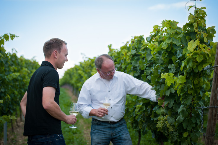 Weingut Fritzsch & Sohn