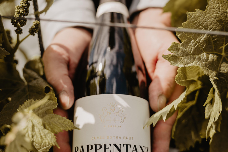 Weingut A. Bieselin