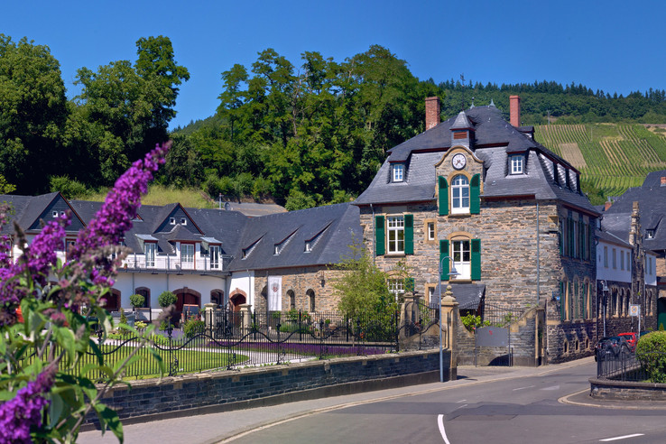 Weingut Schloss Lieser – Thomas Haag