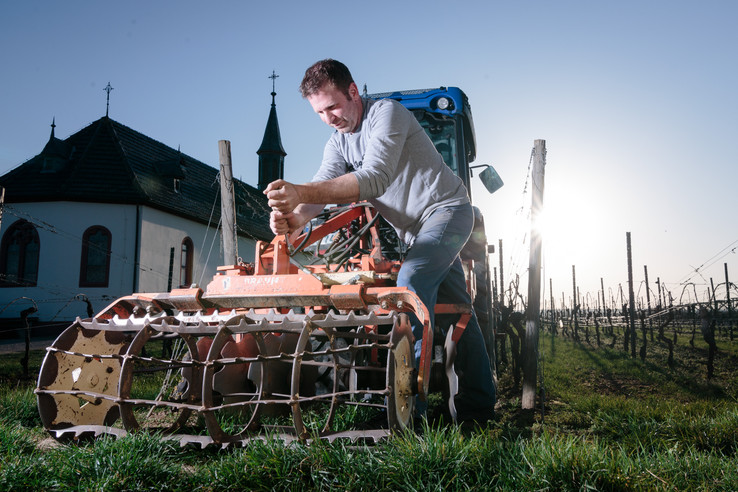 Weingut Spohr