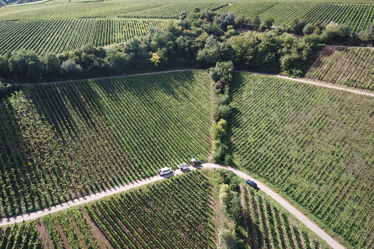 Weingut Schätzel