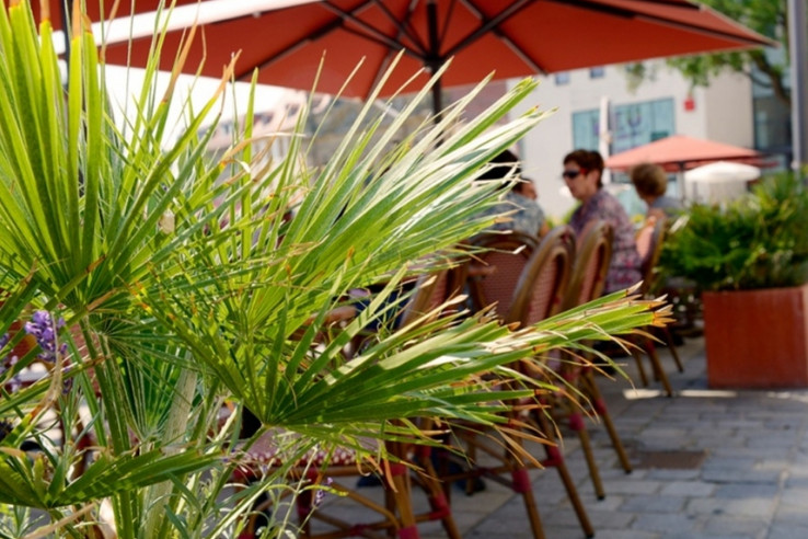 Caffè e Bar Rossi