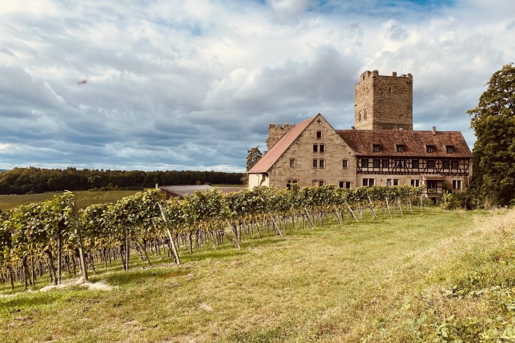 Weingut Graf Neipperg