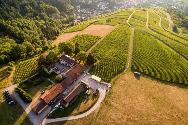 Weingut Nägelsförst