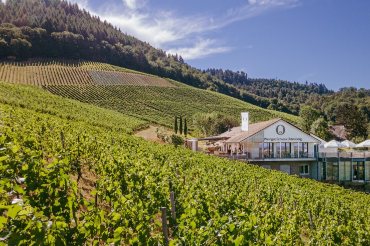Weingut Schloss Ortenberg