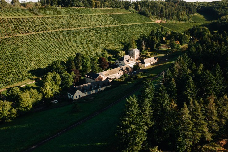 Weingut Karthäuserhof