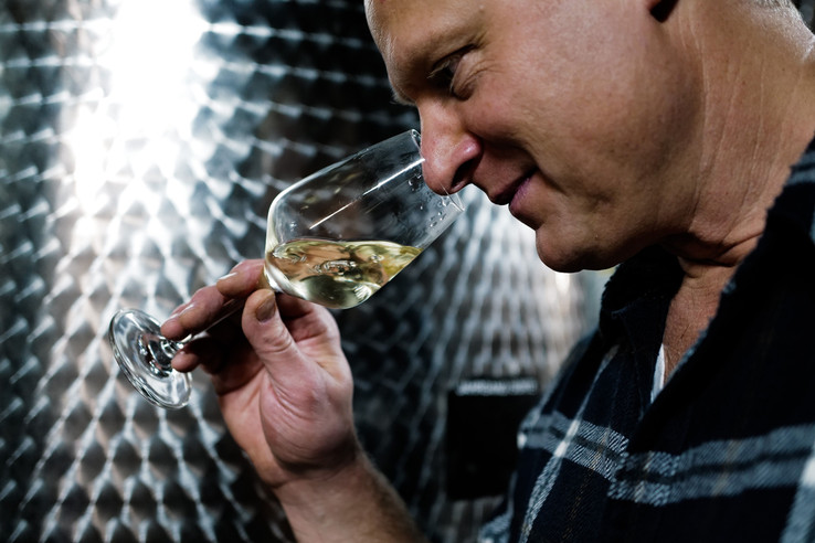 Weingut Ulrich Langguth