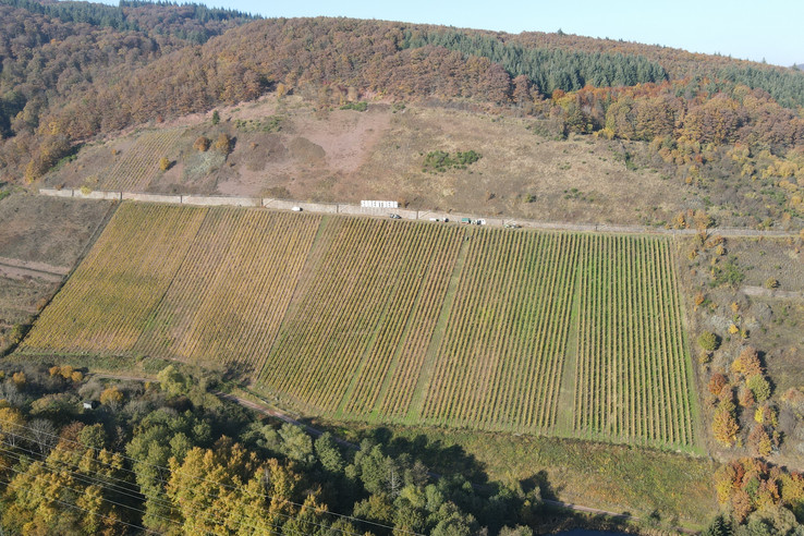 Weingut Sorentberg
