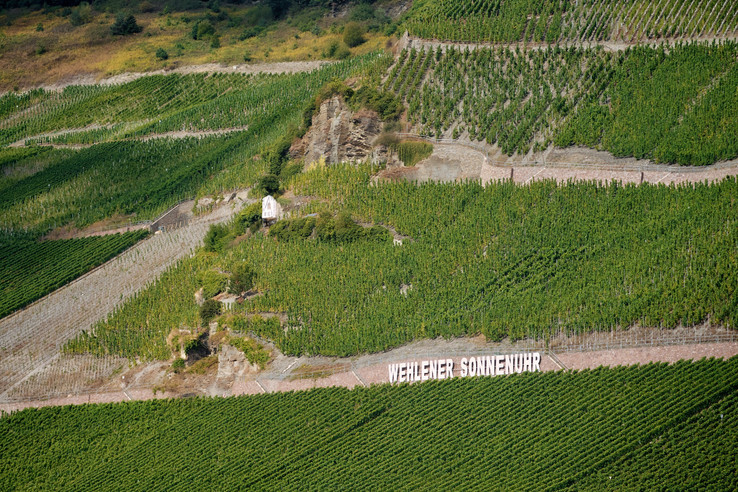 Weingut Schloss Lieser – Thomas Haag