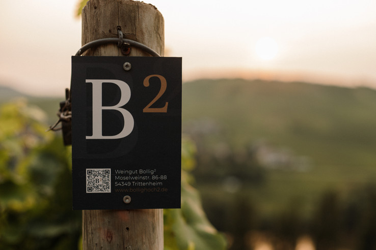 Weingut Bollig²