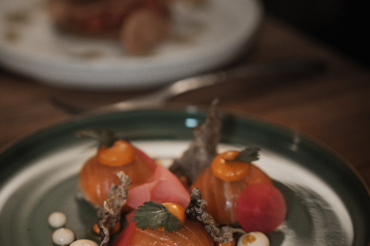 Gänsbauer