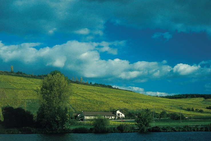 Weingut Schmitts Kinder